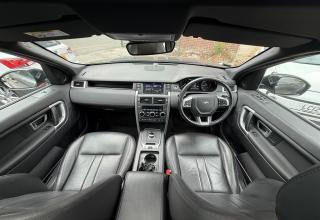 View 15