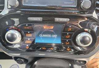 Nissan Juke - Image 39