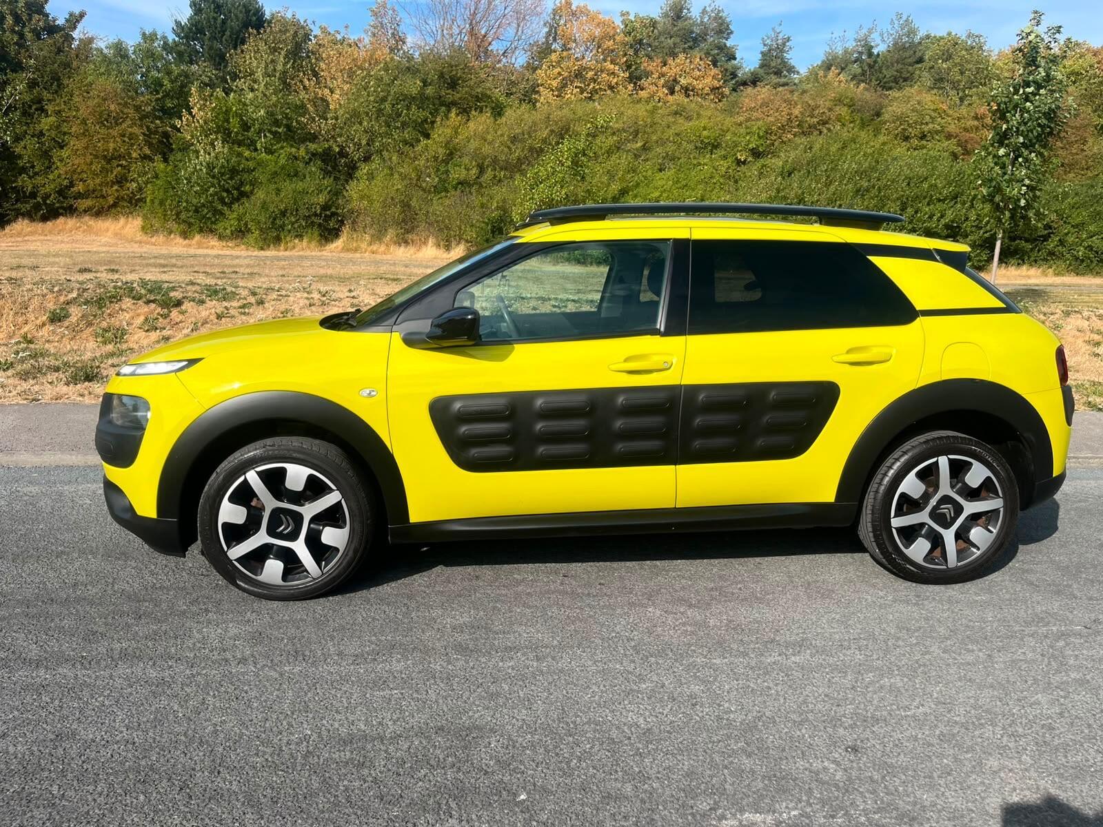 Citroen C4 Cactus - Image 5