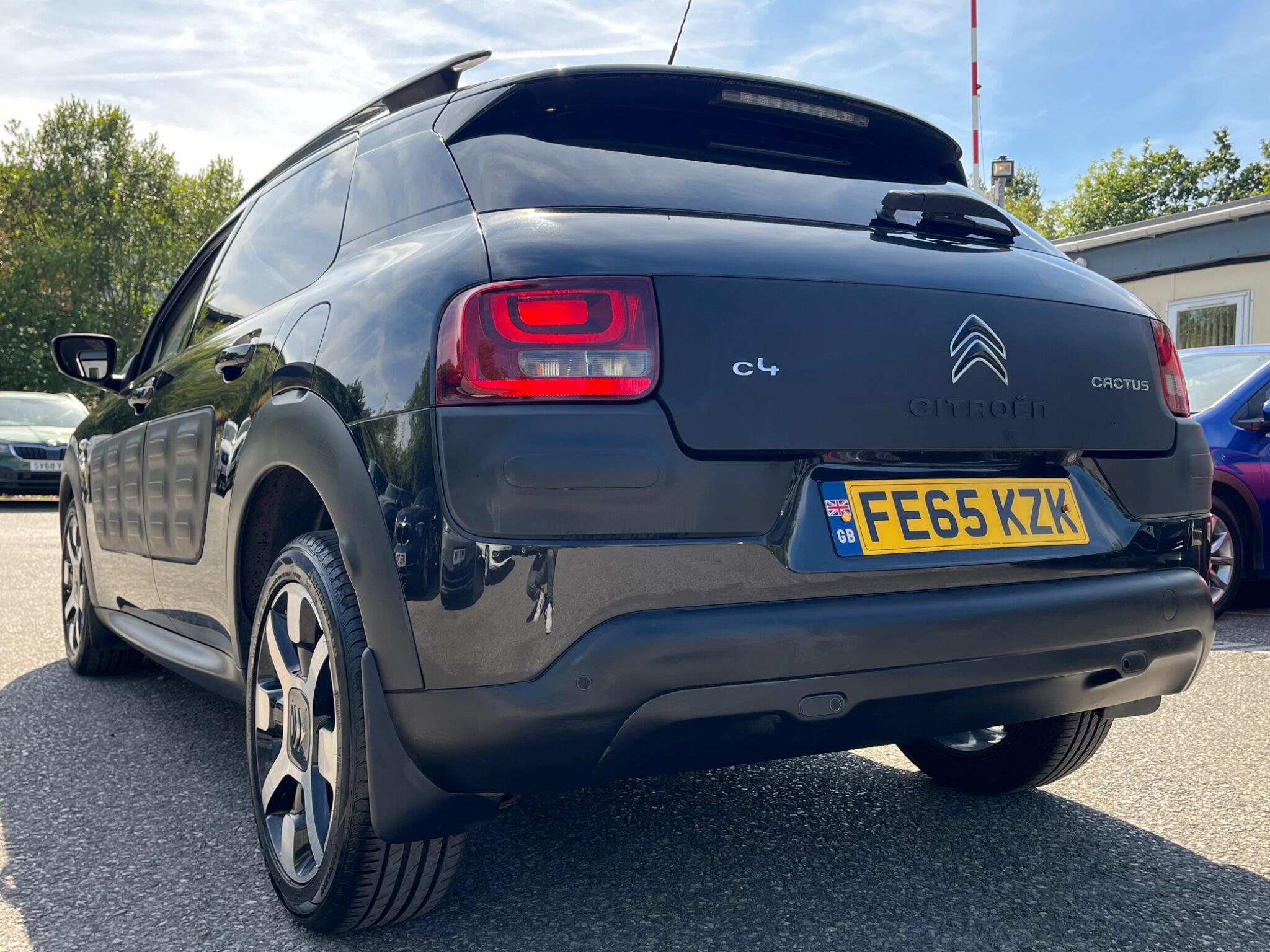 Citroen C4 Cactus - Image 10