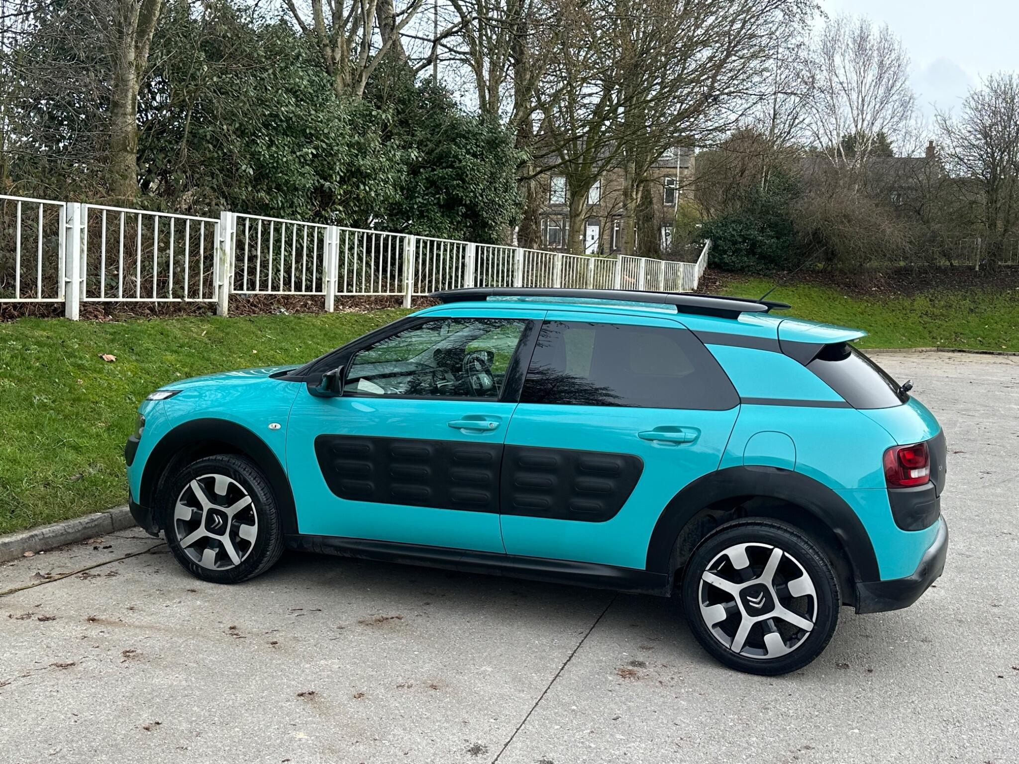 Citroen C4 Cactus - Image 13