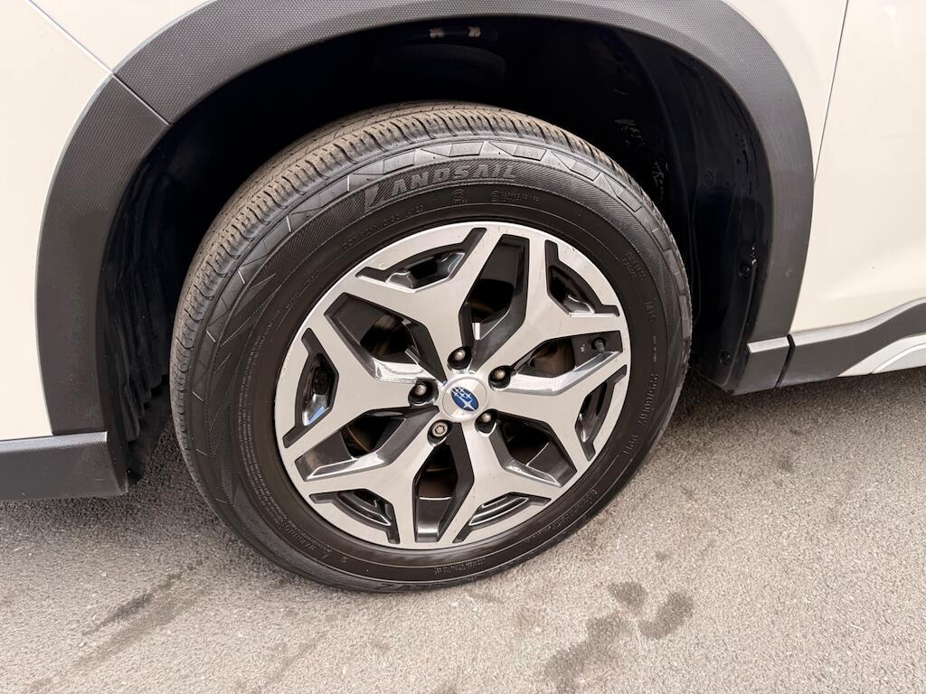 Subaru Forester - Image 19