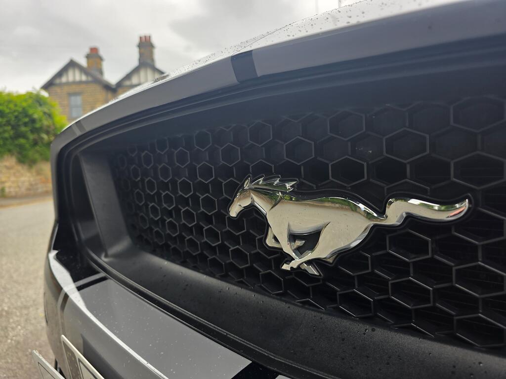 Ford Mustang - Image 22
