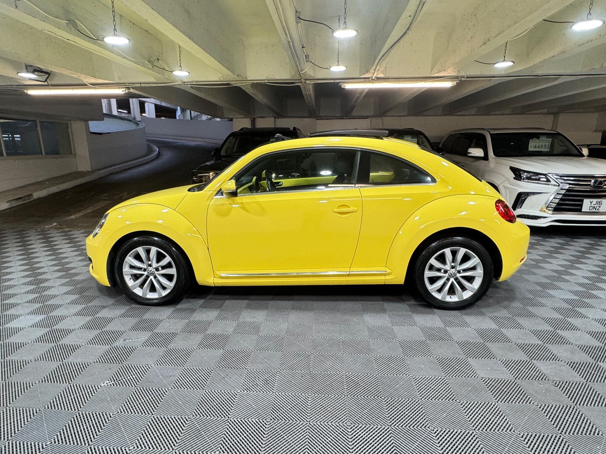 Volkswagen Beetle - Image 2