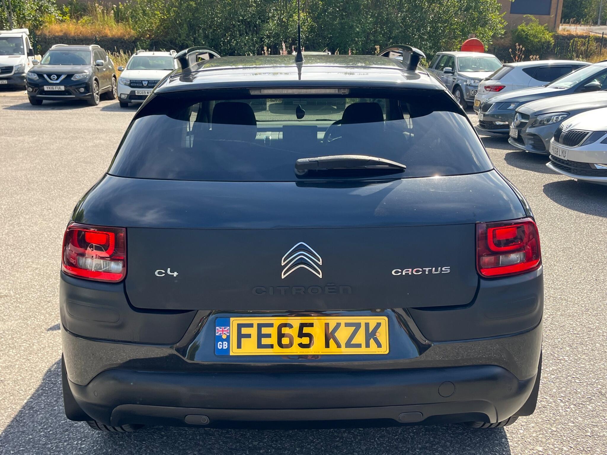 Citroen C4 Cactus - Image 12