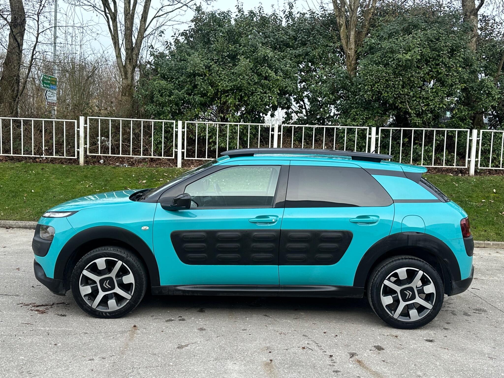 Citroen C4 Cactus - Image 42