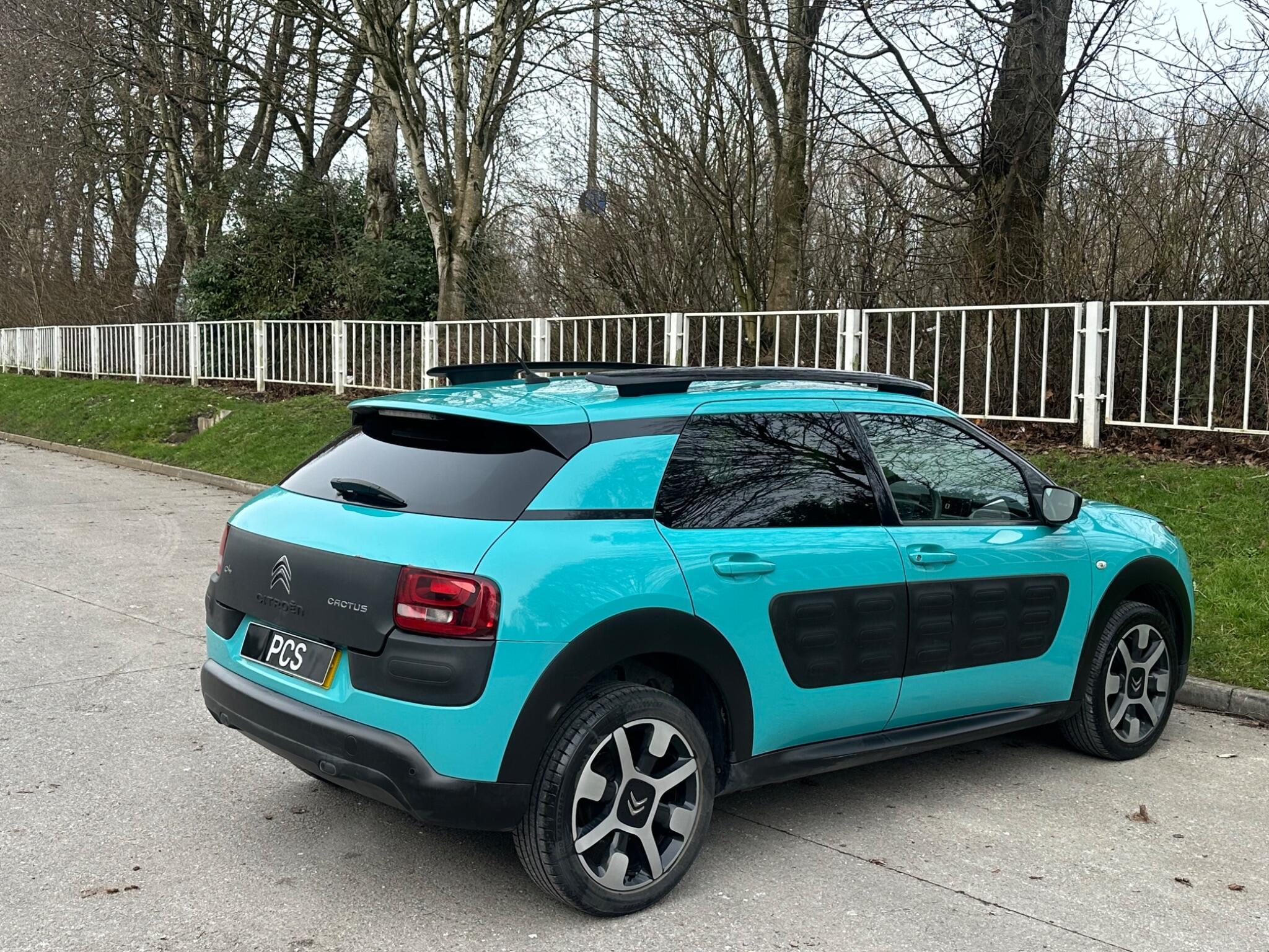 Citroen C4 Cactus - Image 18