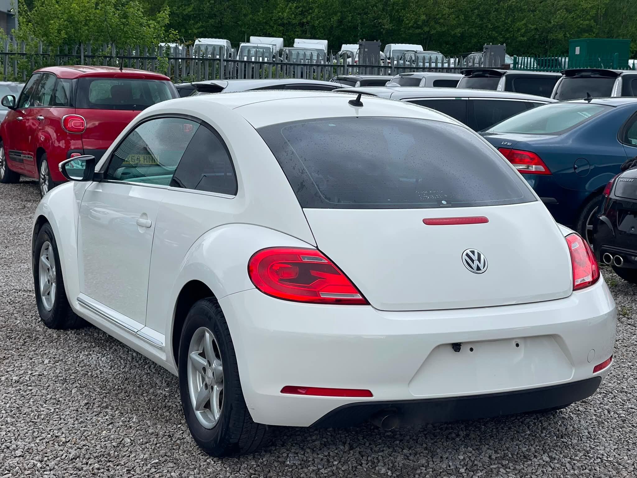 Volkswagen Beetle - Image 9