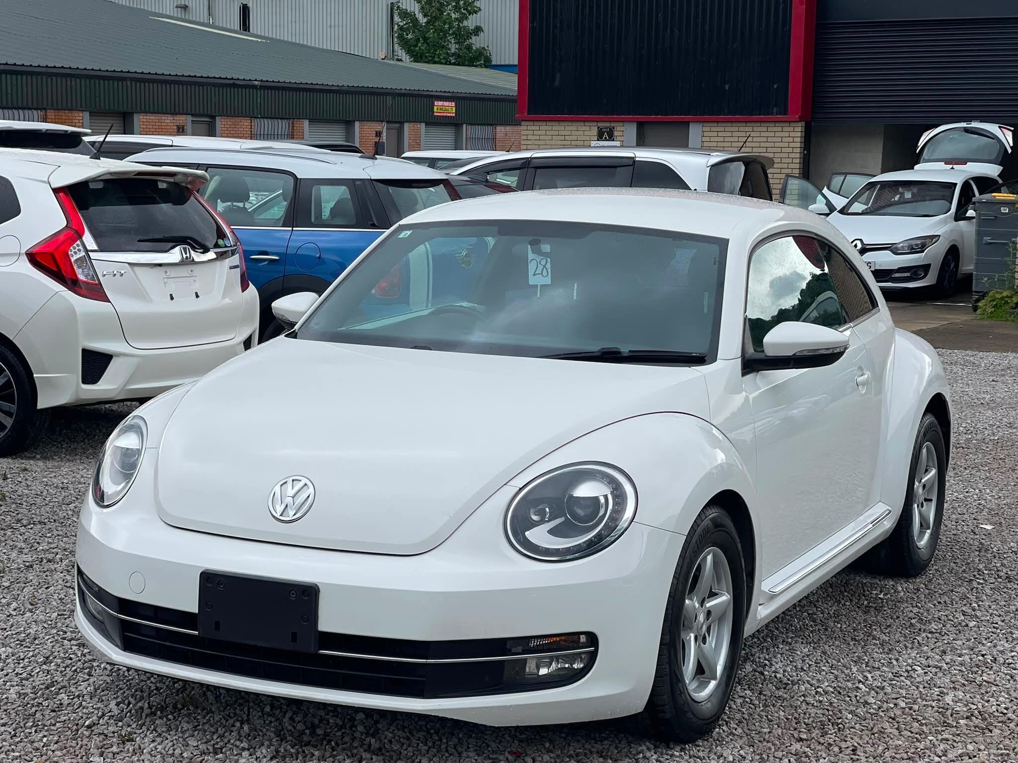 Volkswagen Beetle - Image 6