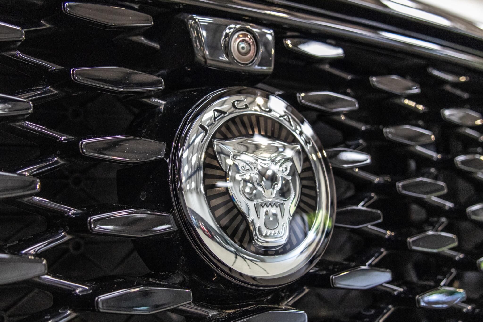 Jaguar F-Pace - Image 14