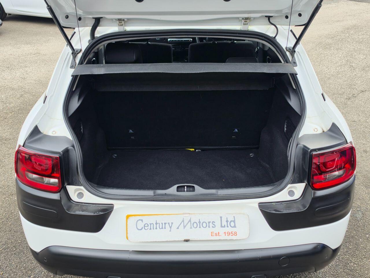 Citroen C4 Cactus - Image 13