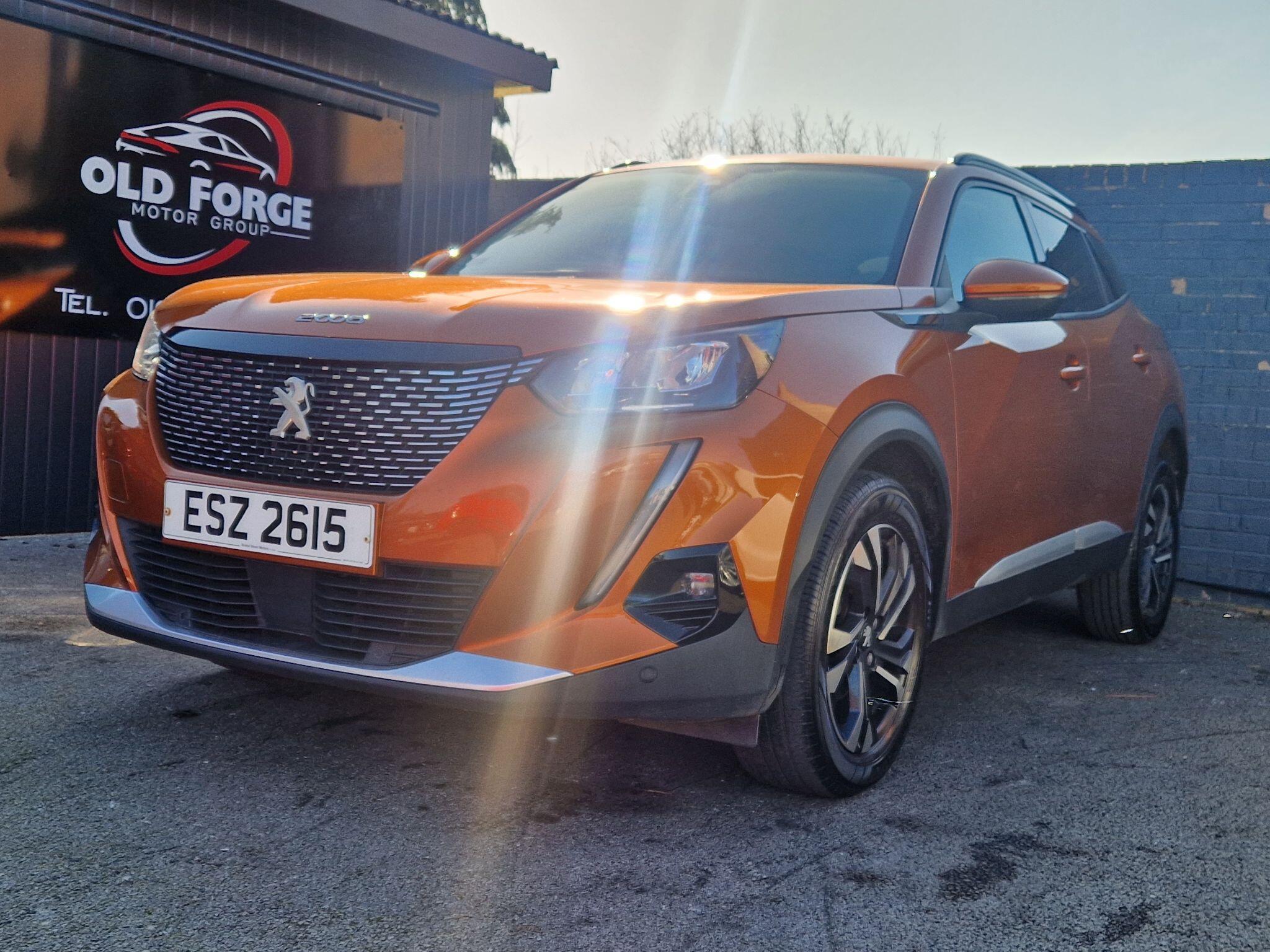 Peugeot 2008 - Image 18