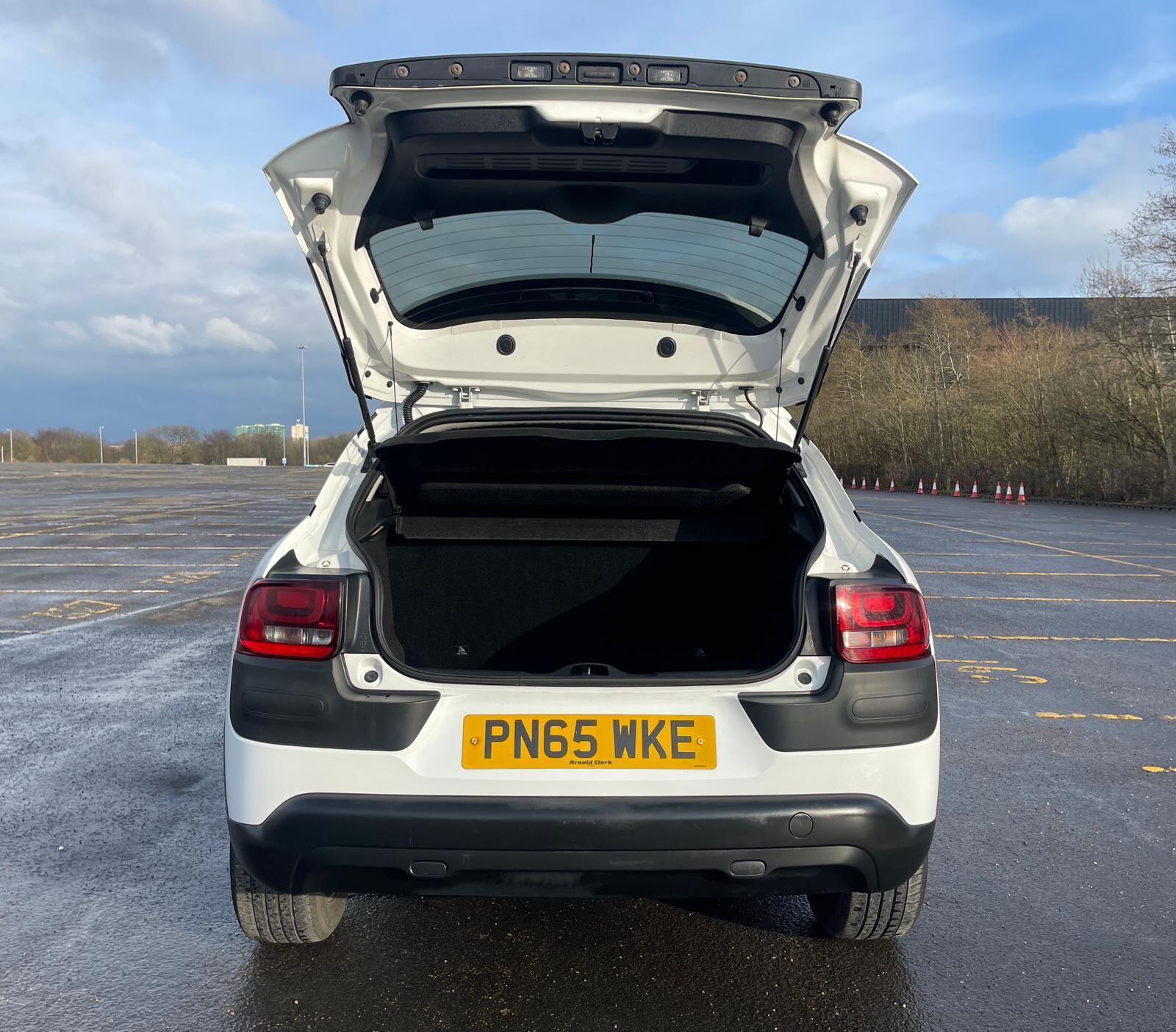 Citroen C4 Cactus - Image 43