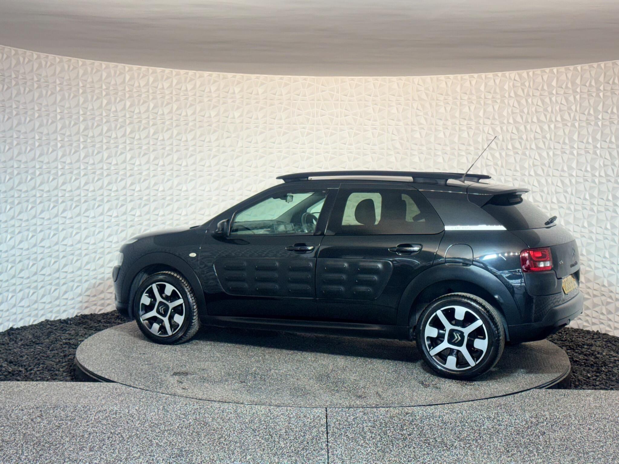 Citroen C4 Cactus - Image 19