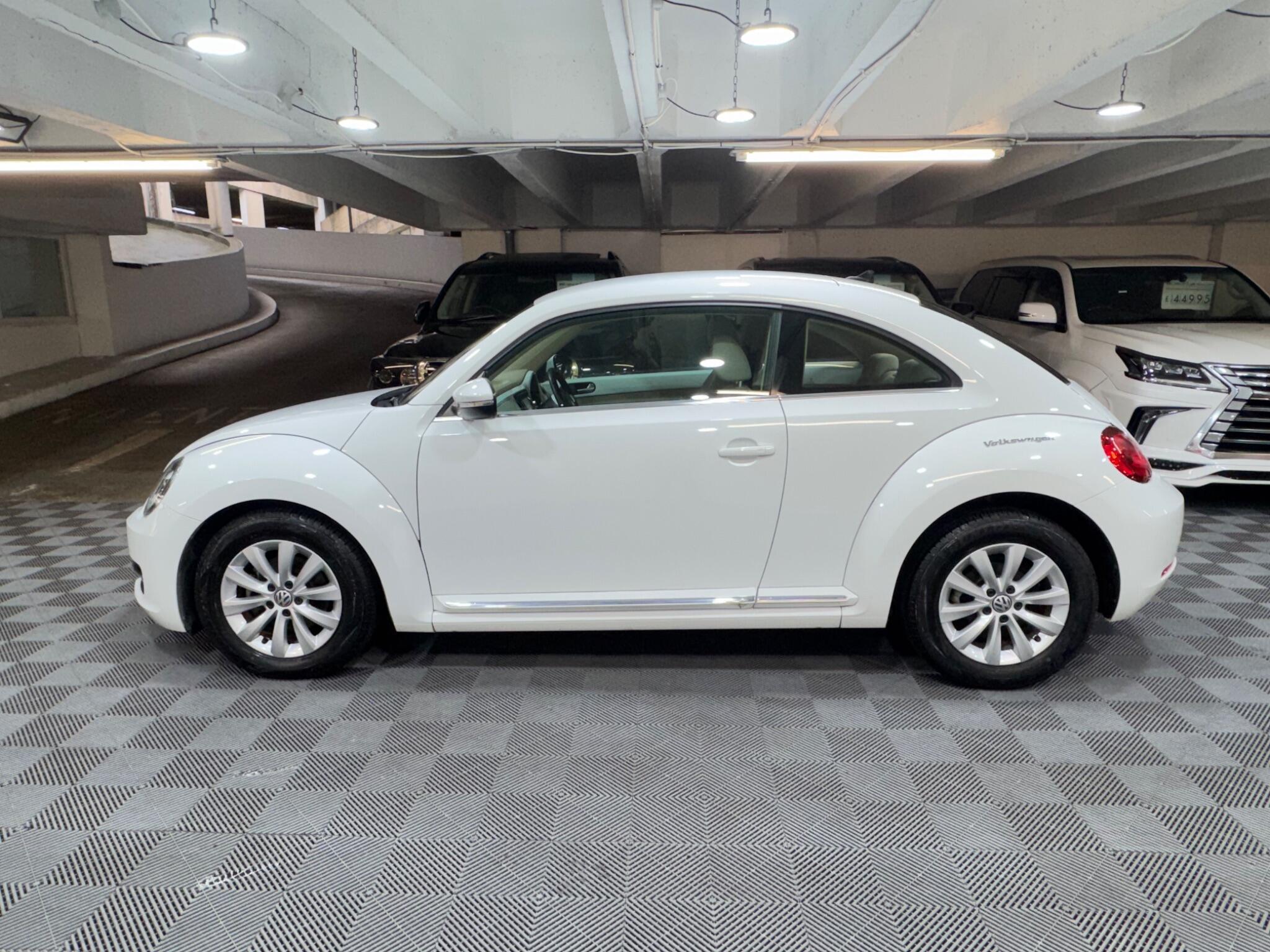 Volkswagen Beetle - Image 2