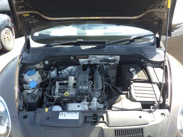 Volkswagen Beetle - Image 6