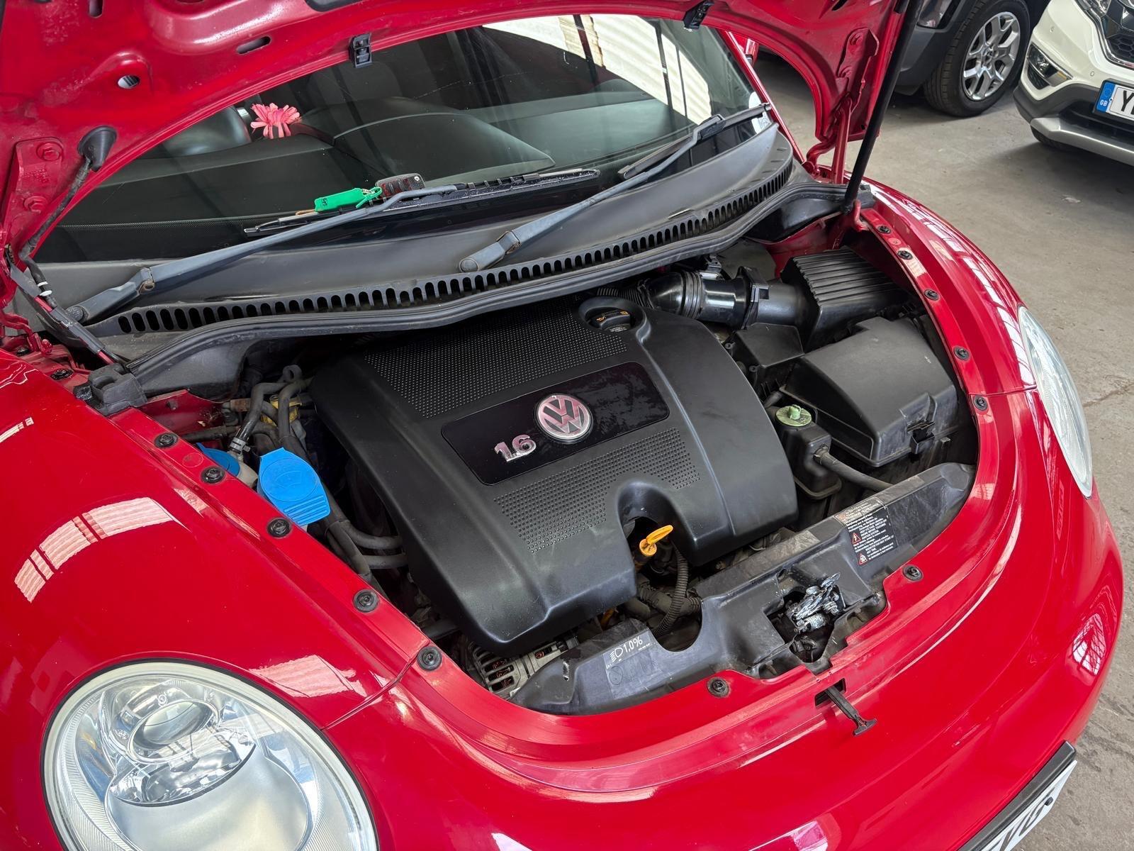 Volkswagen Beetle - Image 32