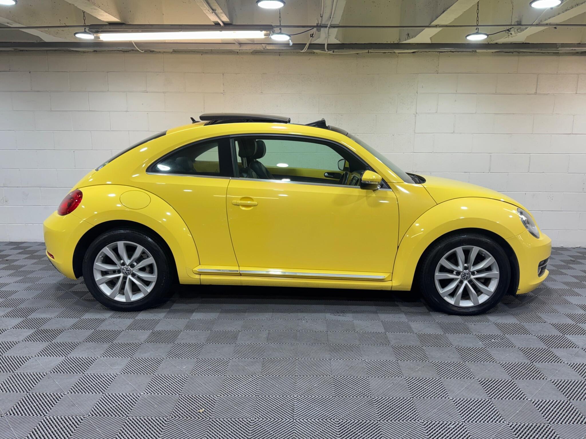 Volkswagen Beetle - Image 5