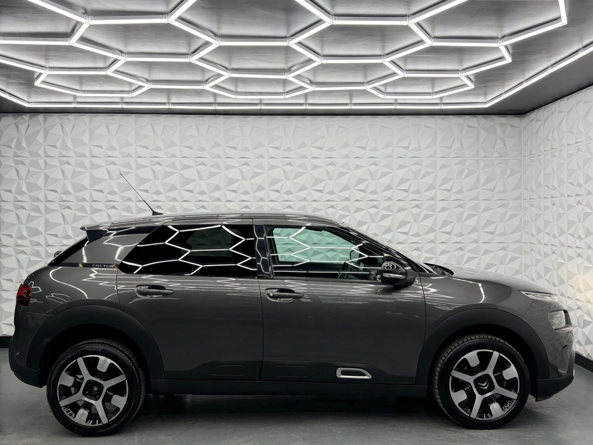 Citroen C4 Cactus - Image 11
