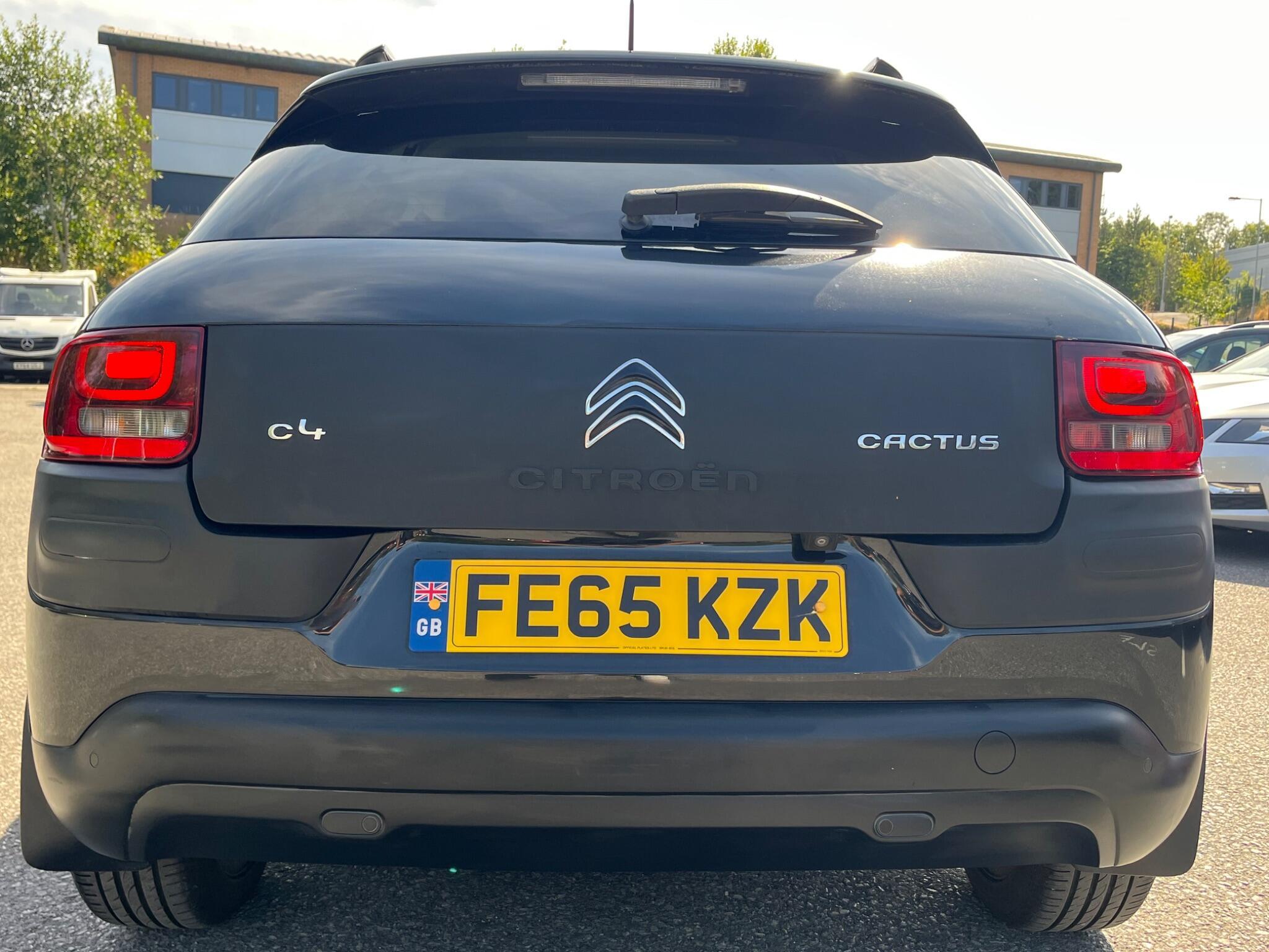Citroen C4 Cactus - Image 11