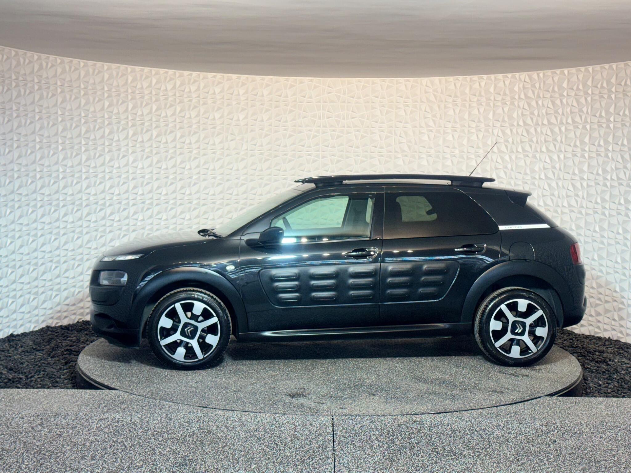 Citroen C4 Cactus - Image 18