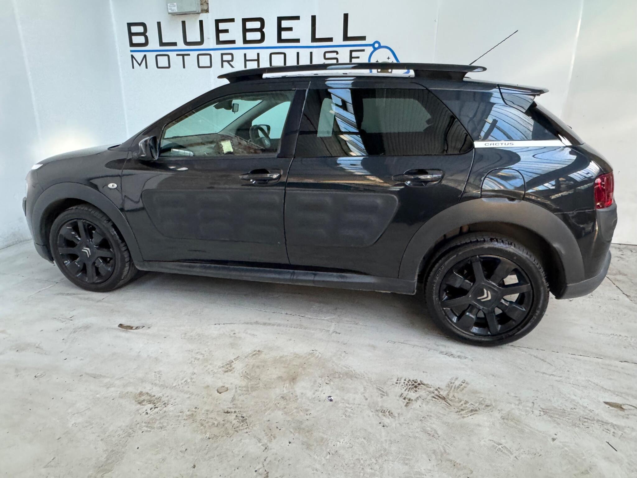 Citroen C4 Cactus - Image 8