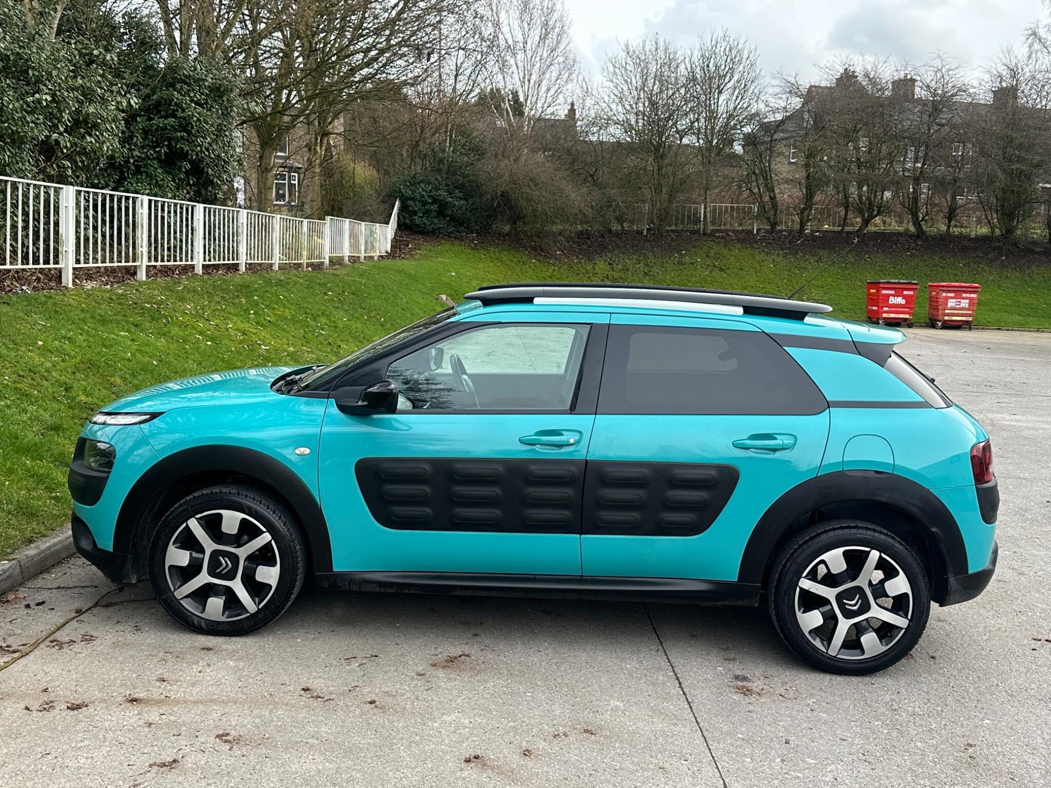 Citroen C4 Cactus - Image 14