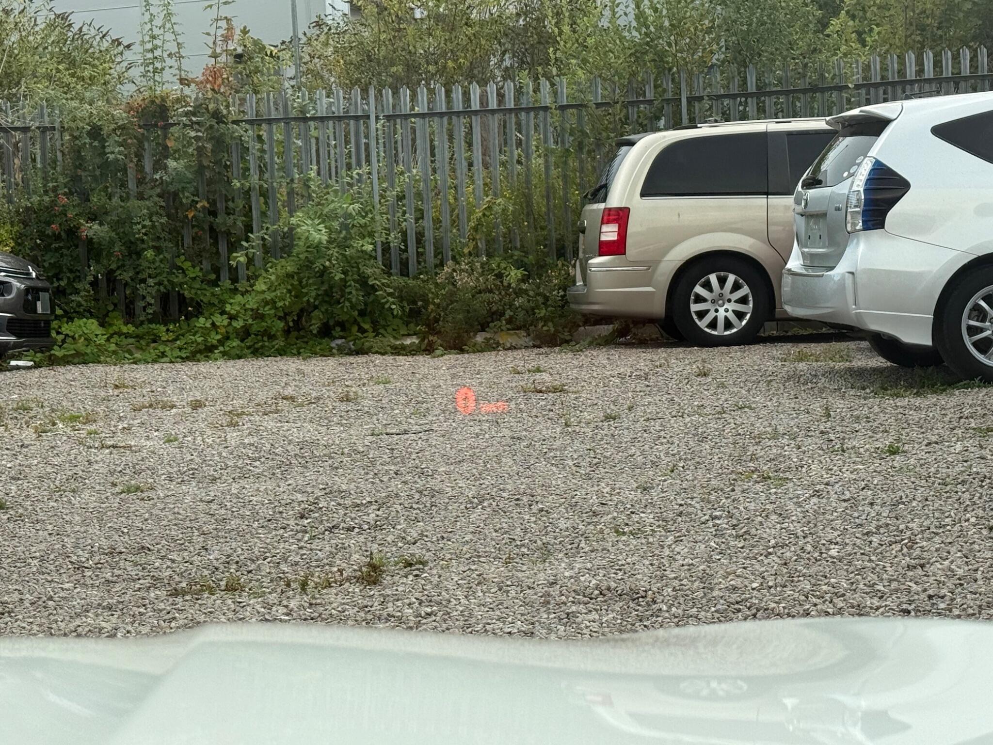 BMW 5 Series - Image 21