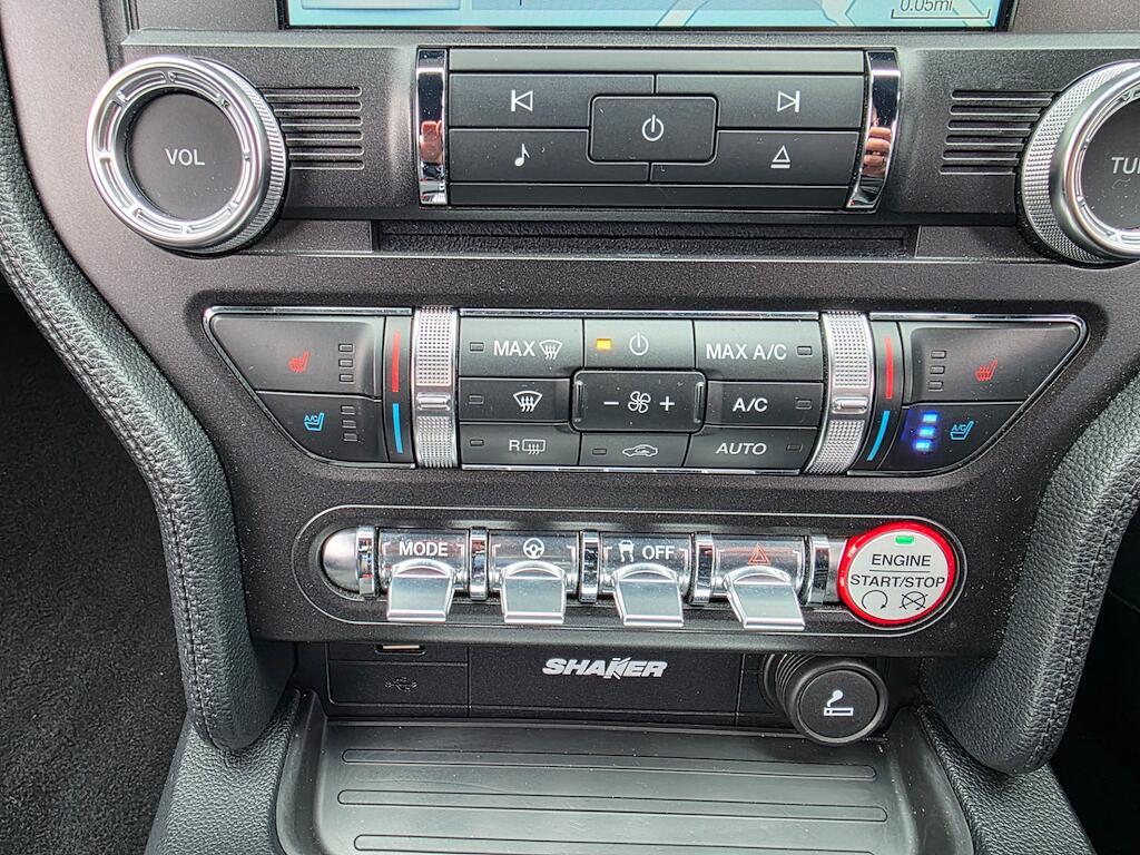 Ford Mustang - Image 44