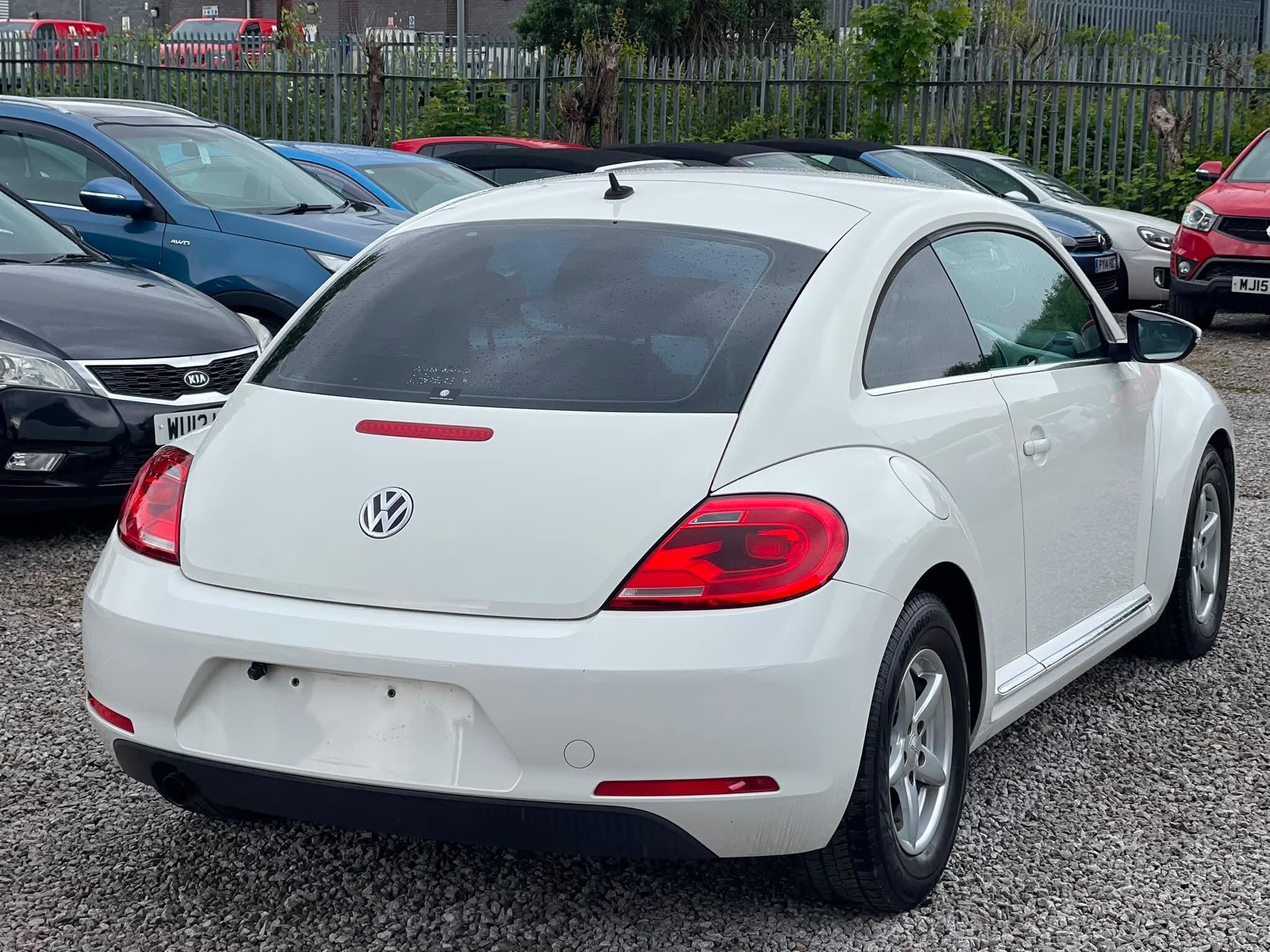 Volkswagen Beetle - Image 7