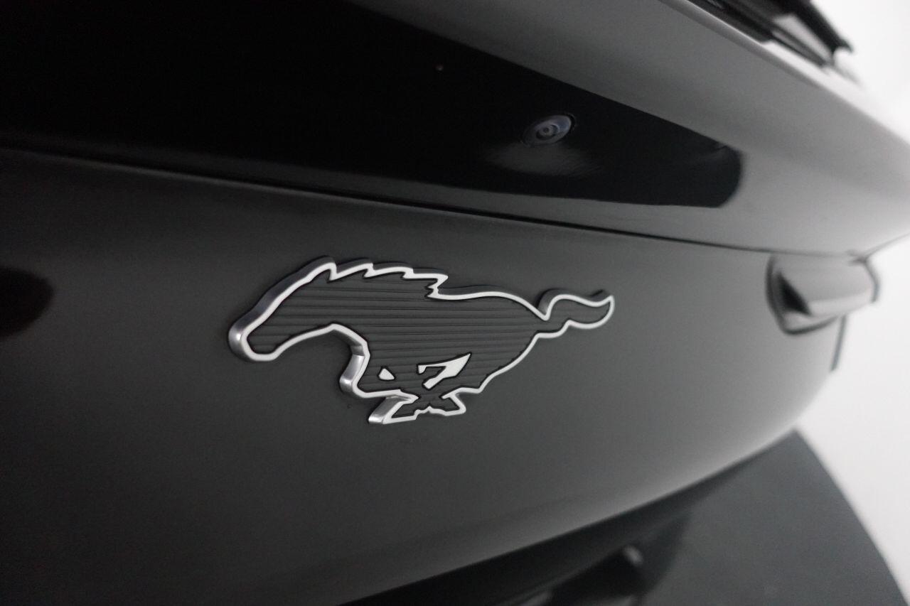 Ford Mustang Mach-E - Image 15