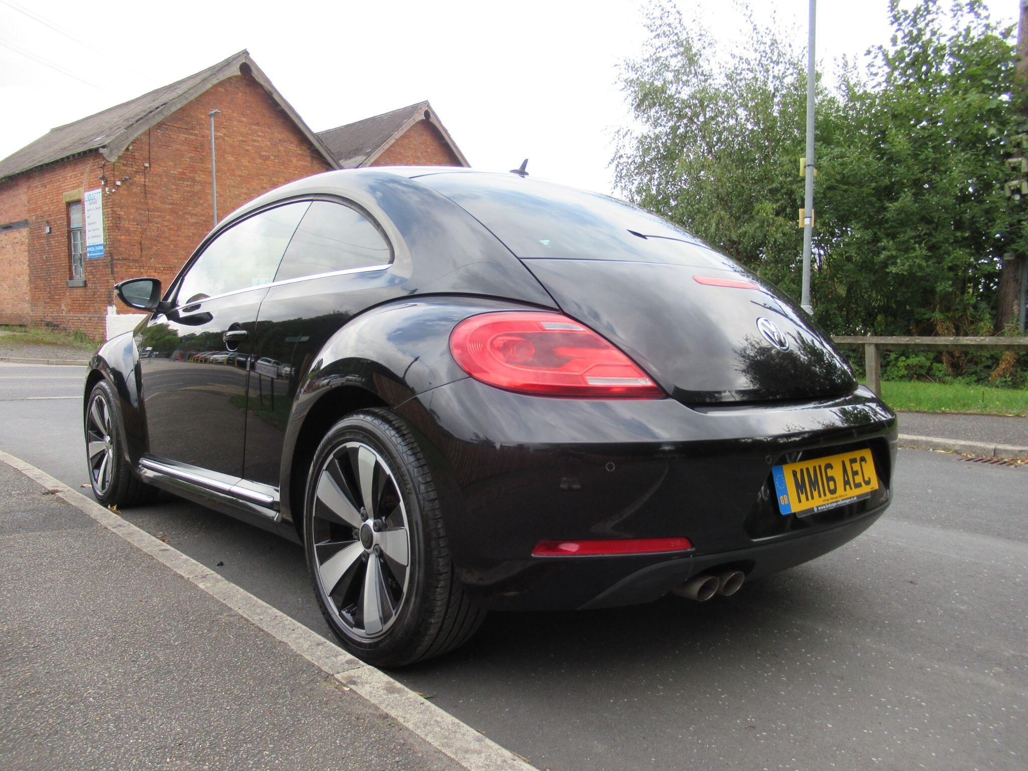Volkswagen Beetle - Image 6