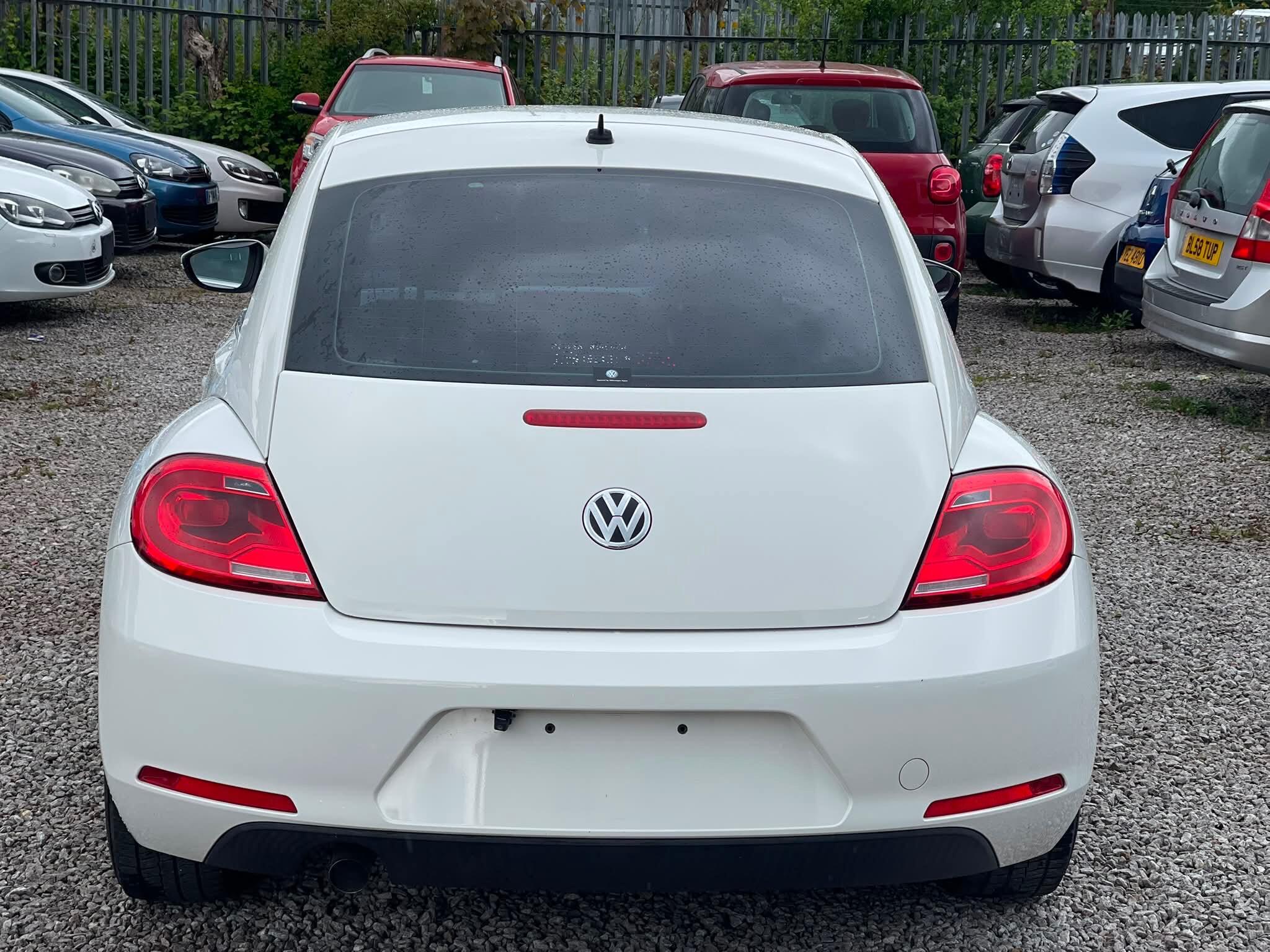 Volkswagen Beetle - Image 8