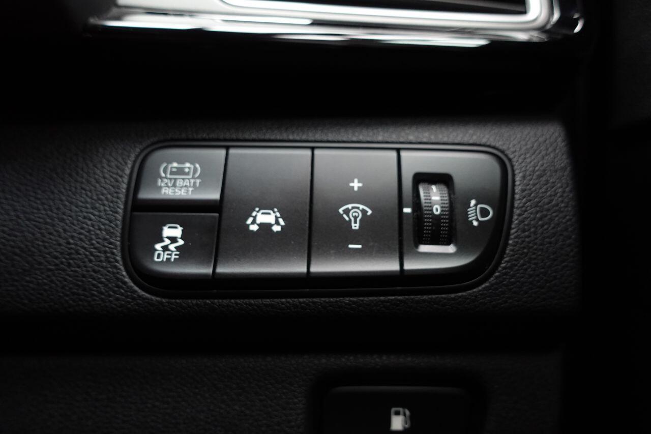 Kia Niro - Image 41