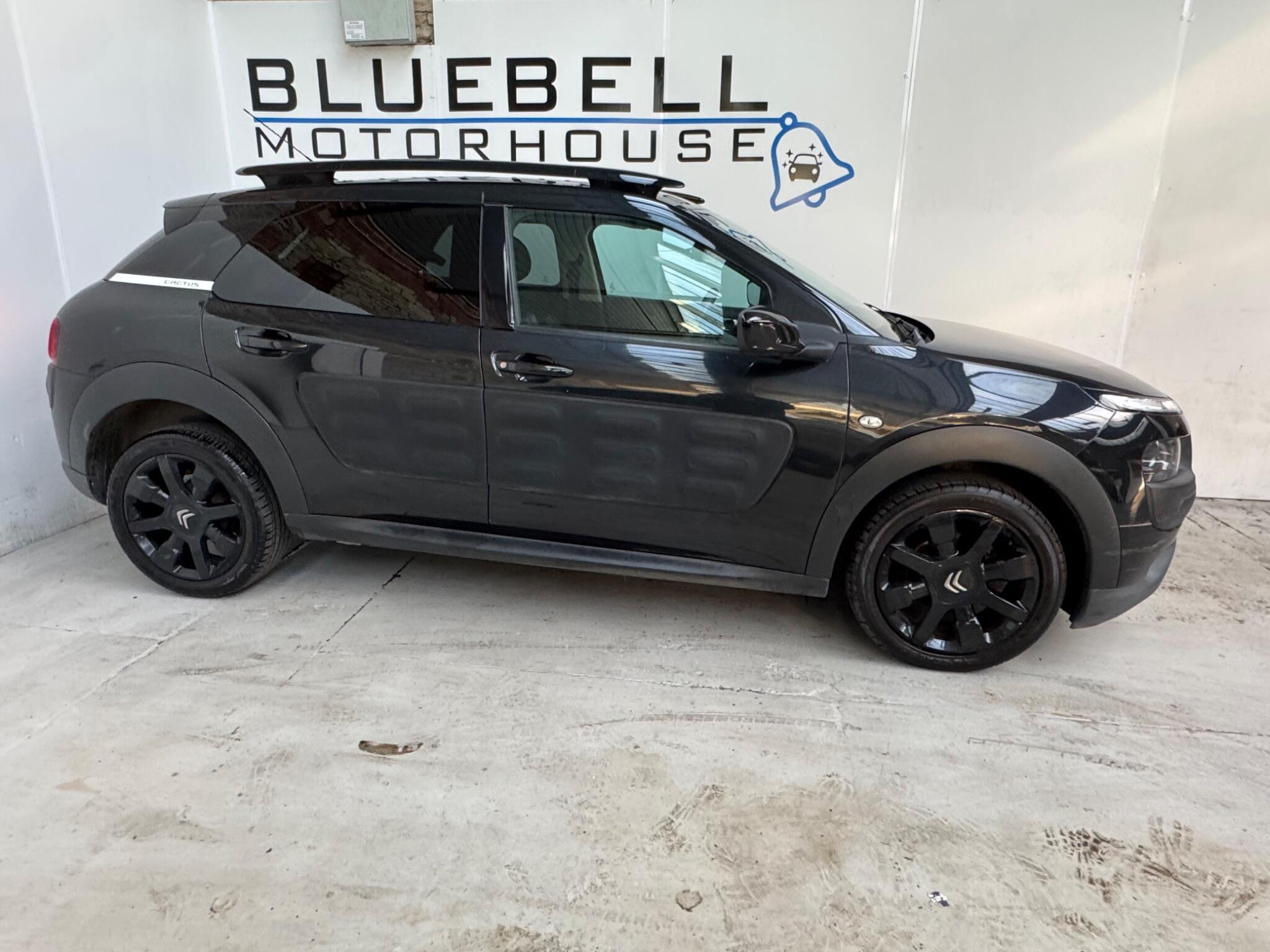 Citroen C4 Cactus - Image 9