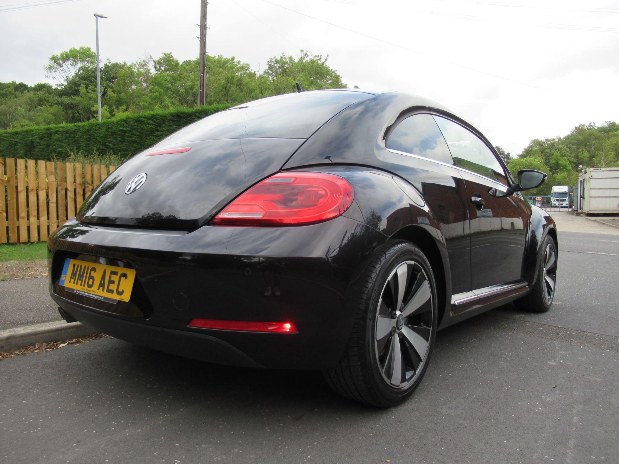 Volkswagen Beetle - Image 4