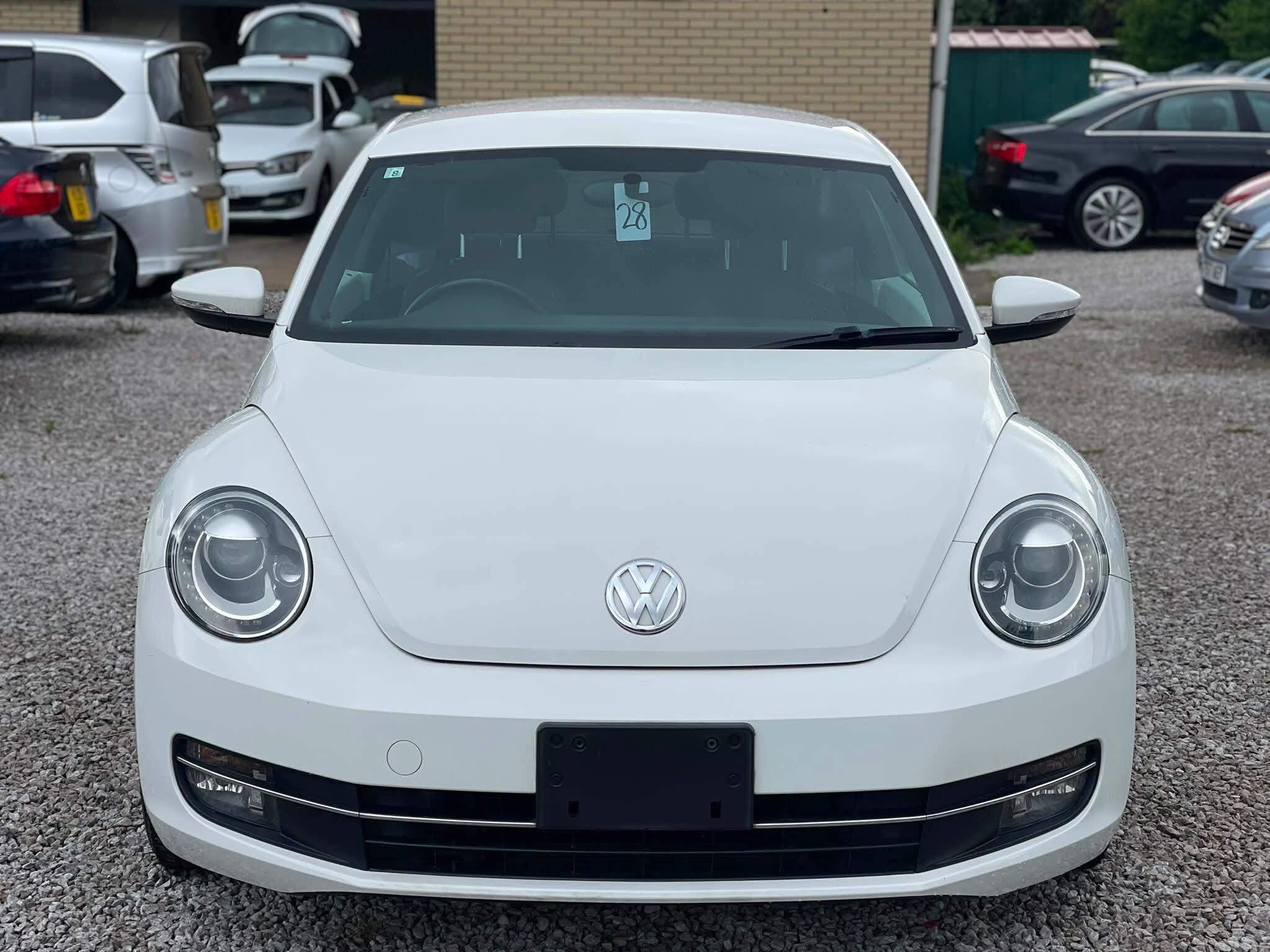 Volkswagen Beetle - Image 5