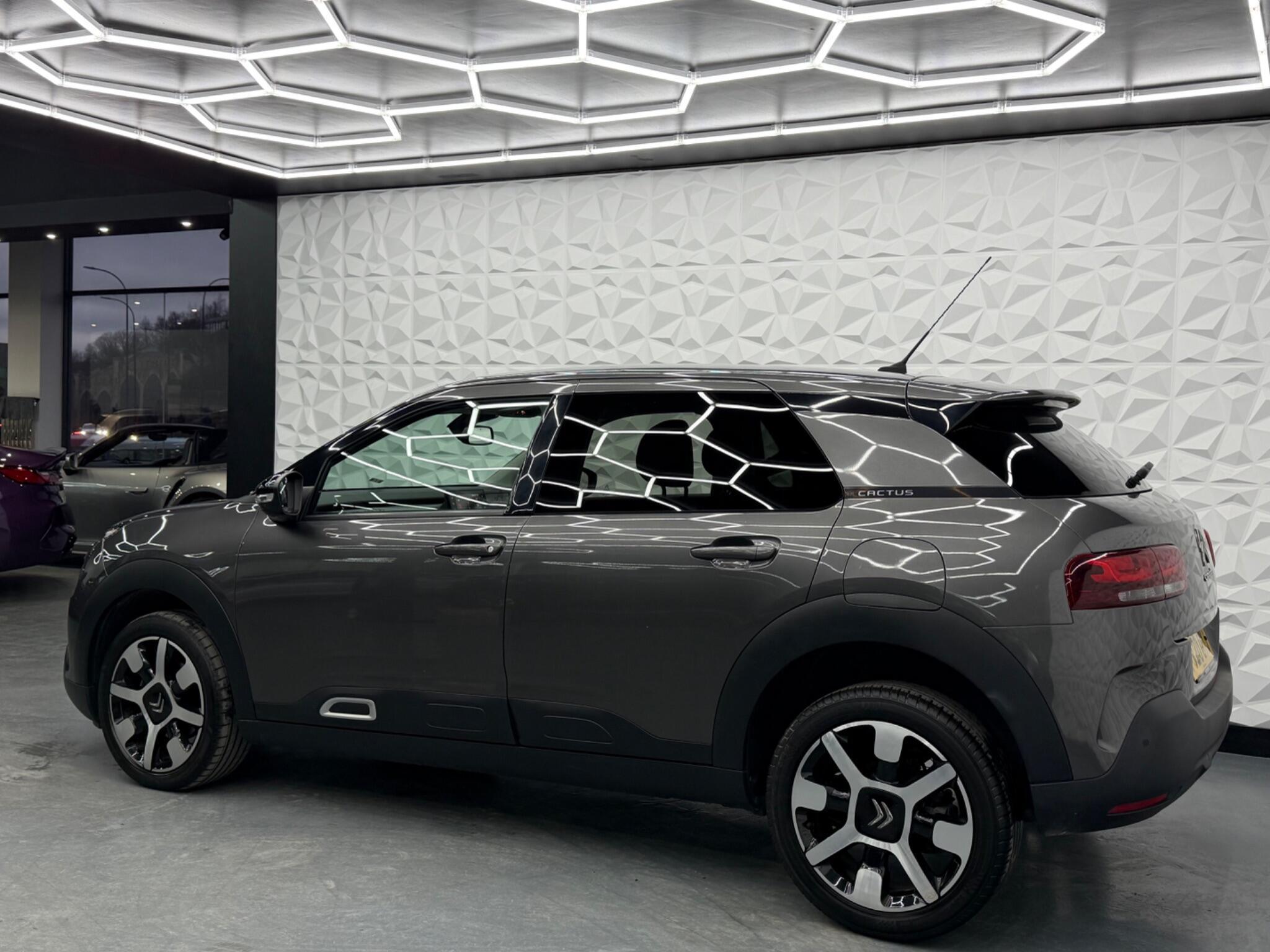 Citroen C4 Cactus - Image 10